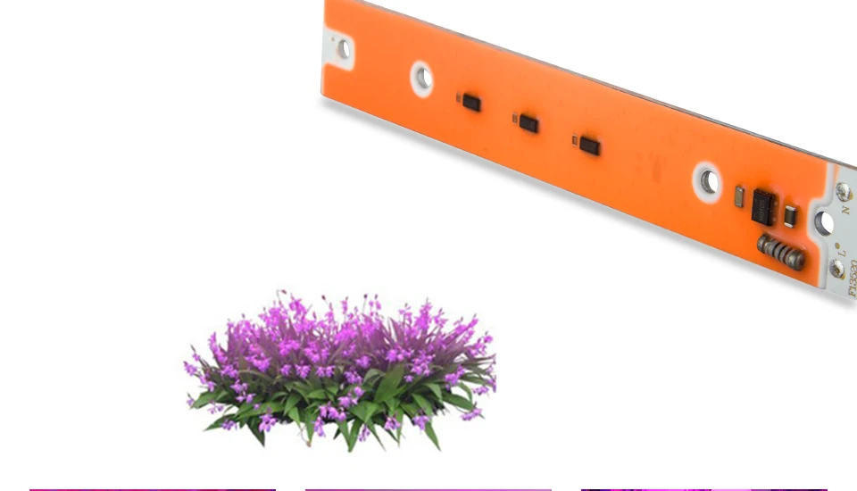 LED GROWTH LAMP (1)