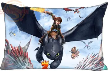 

Hot Sale Best Nice How to Train Your Dragon Rectangle Pillowcases zipper Custom Pillow Case