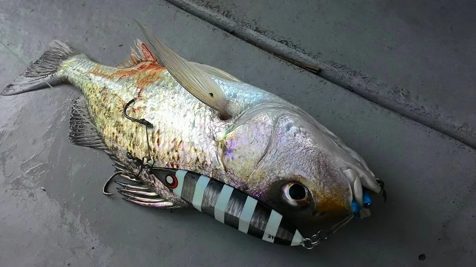80g 100g 150g metal jig jigging iscas