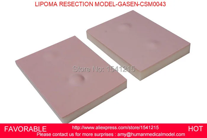 

MEDICAL ORGAN NURSING MODEL MEDICAL TRAINING MANIKINS MEDICAL SIMULATION NURSING TRAINING LIPOMA RESECTION MODEL-GASEN-CSM0043