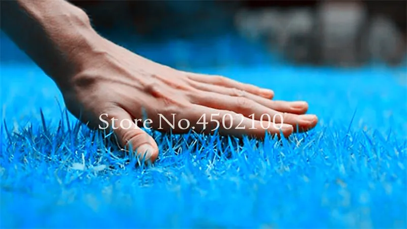 500 Pcs Rare Blue Grass Bonsai Evergreen Lawn Plant Rainbow Perennial Flower Garden Soccer Fields Villa High Grade Outdoor Plant