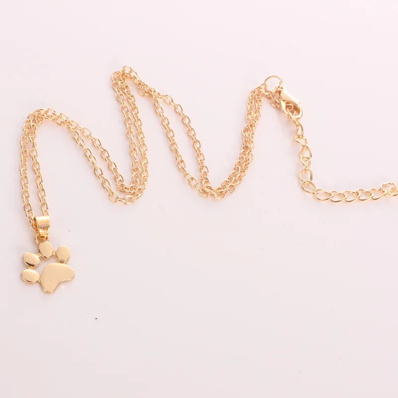 XL0026A (4)