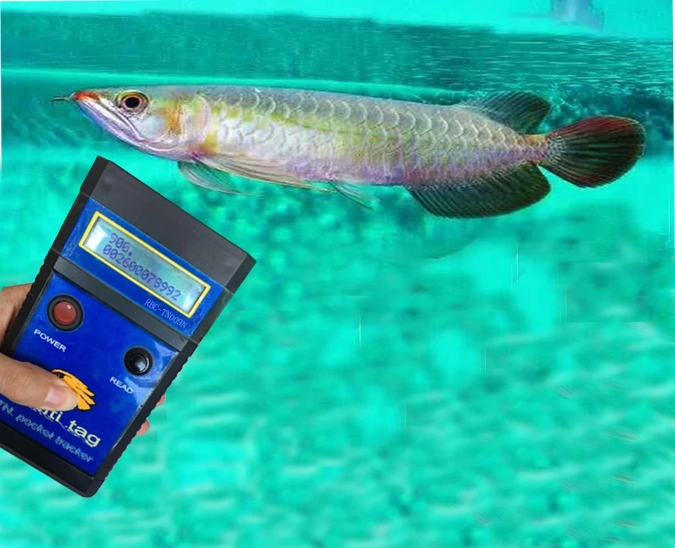 送料無料rfid魚microchipfdx Fdx Bアロワナチップスキャナmircrochipリーダー魚リーダー Control Card Readers Aliexpress