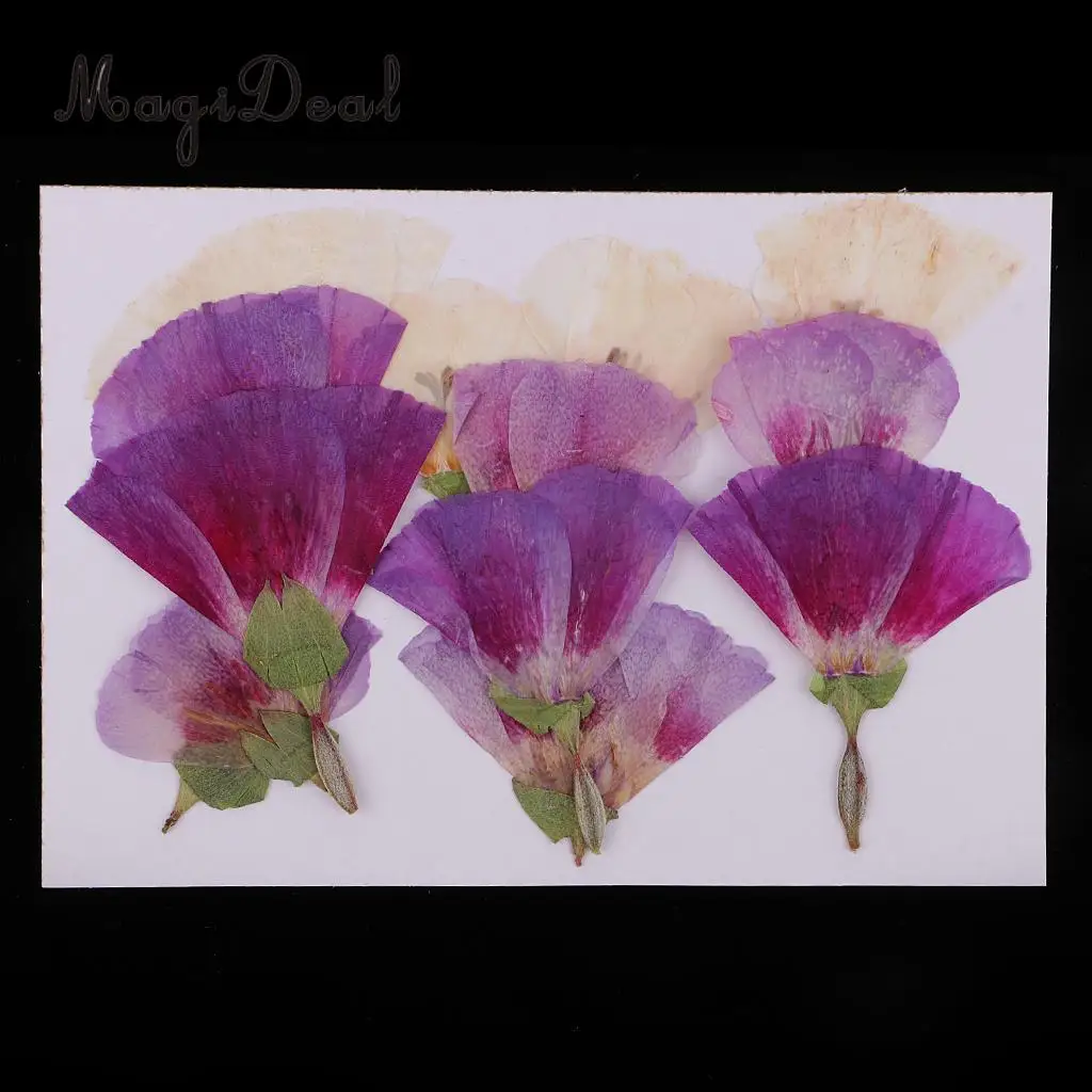 12pcs Beautiful Godetia Real Pressed Natural Dried Flowers for Art Craft Scrapbooking Card Making Resin Jewelry Making Craft DIY