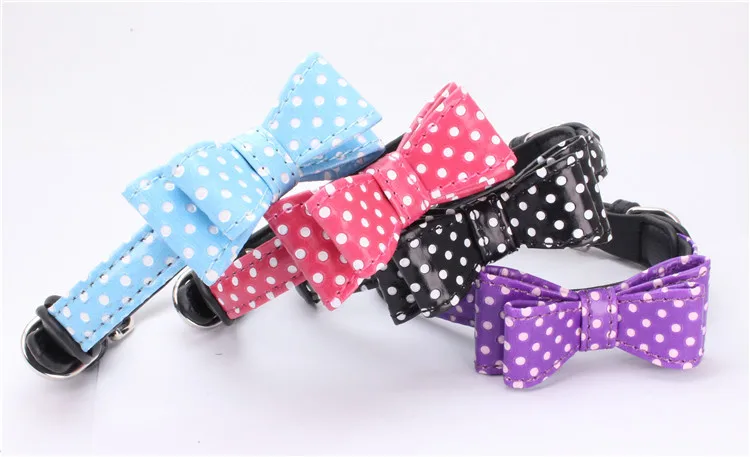 dog collar (1)