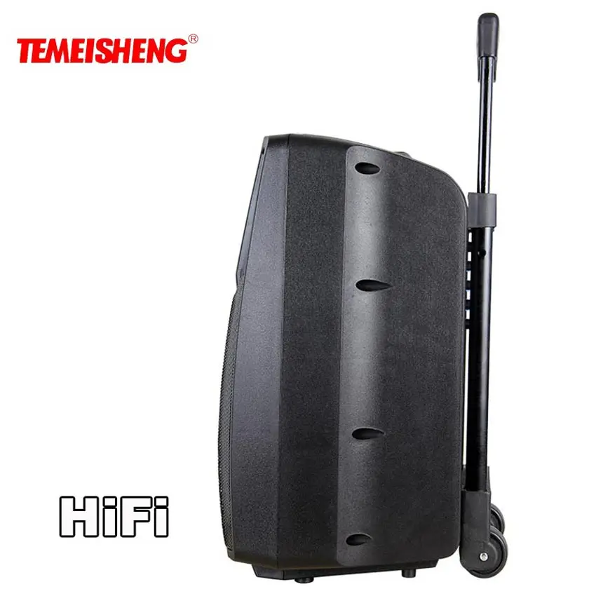 TEMEISHENG SL08 High Power Portable Loudspeaker