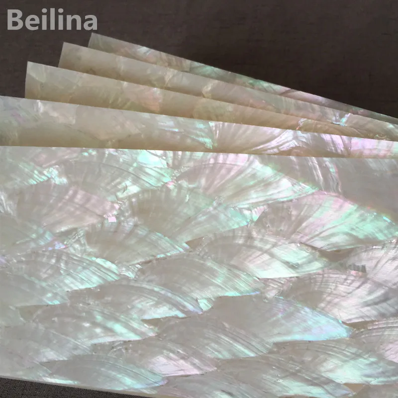 

1lot(5pcs)Natural color fan patterin paua abalone shell for home decoration matrerials and wood inlay size 240/140mm