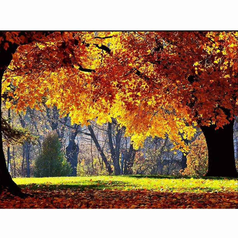 

5D Diamond Painting Beautiful Scenery Cross Stitch DIY Diamond Embroidery Landscape Full round rhinestones Home Decor 40x40cm