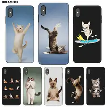 N476 Yoga Cats And Dogs Black Silicone Case Cover For Apple iPhone 11 Pro XR XS Max X 8 7 6 6S Plus 5 5S SE yoga for cats