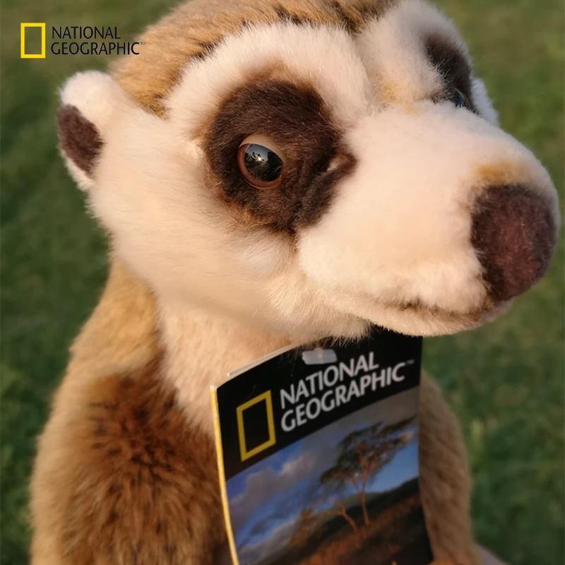 National Geographic 1" Мягкие и плюшевые Сурикаты сурикатта плюшевые куклы мягкие милые животные