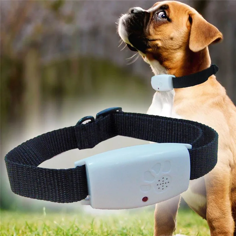 

Ultrasonic Adjustable Dog Collar Anti Flea & Tick Pest Lice Electronic Insect Repellent Collar Pet Cat Non-toxic No Insecticide