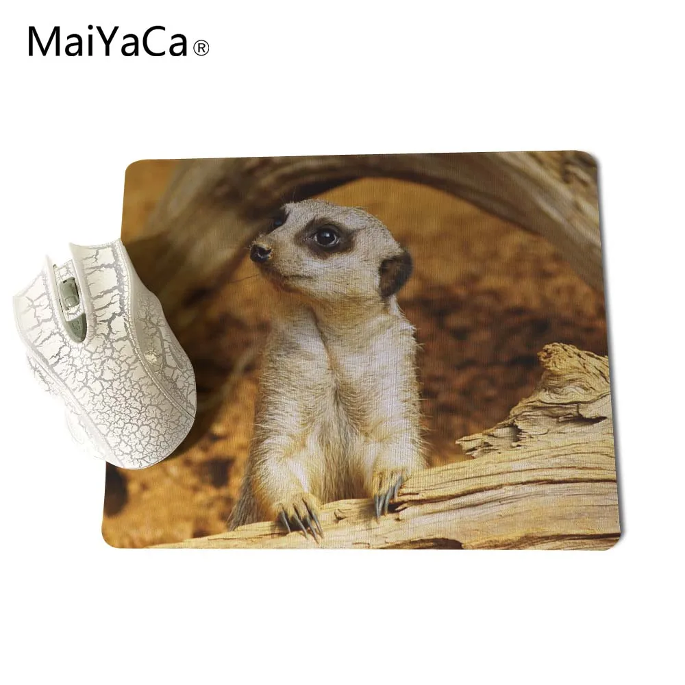 MaiYaCa животные Meerkat лучшая игра Пользовательские Коврики для мыши резиновый коврик 18*22 см и 25*29 см коврики для мыши - Цвет: for Size 25x29cm