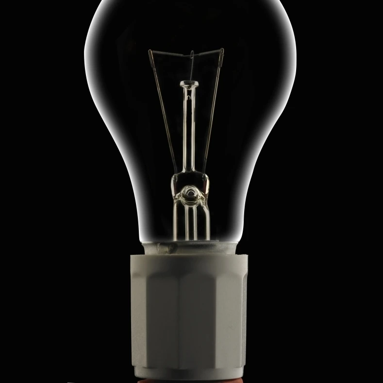 Dead Light Bulb Poster Print (13 x 17)