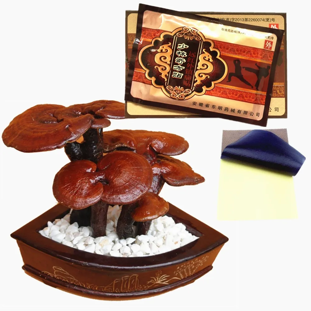 

MIYUELENI Chinese Herbal Joint Pain Ointment Essential oil Ganoderma lucidum Plasters Rheumatism Arthritis Relieve pain Patches