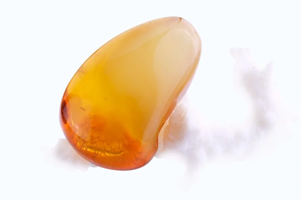 AL-22 (19)