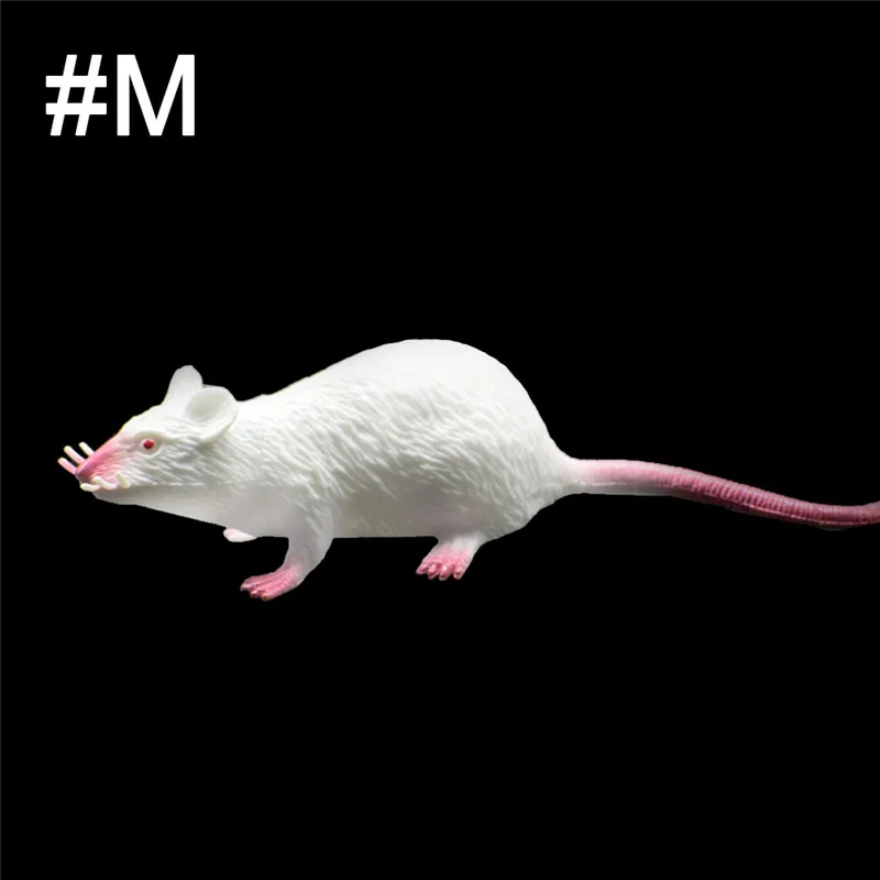 2N5M5_8