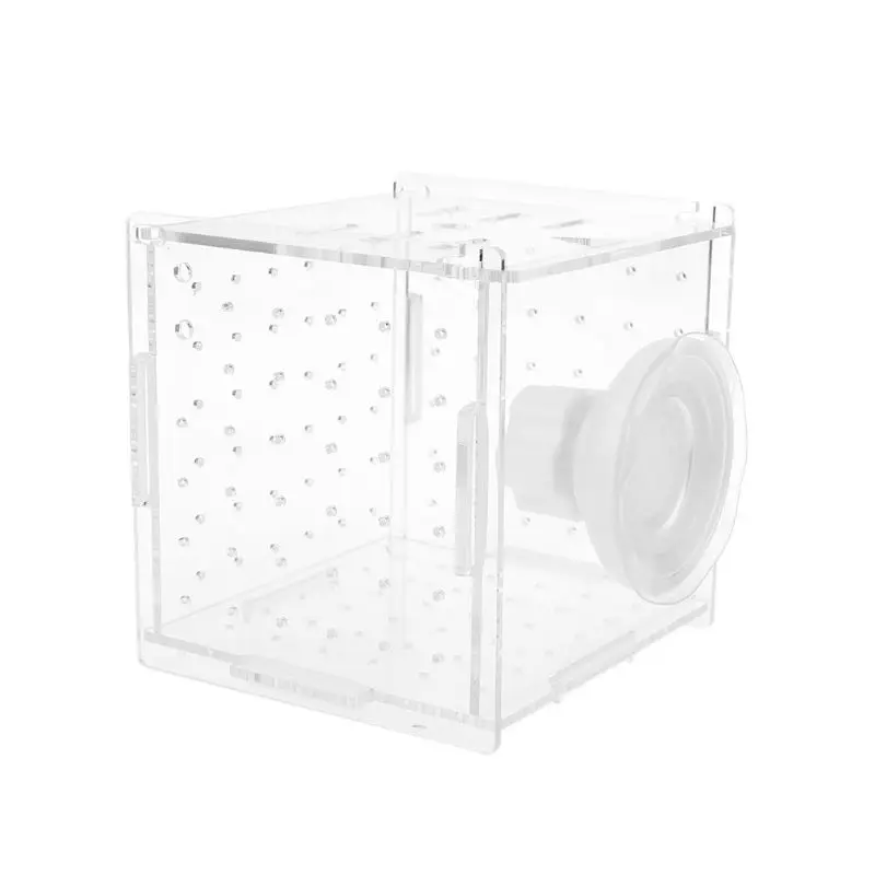 Для разведения рыб в аквариуме изолирующая коробка для маленьких рыб инкубатория инкубатор клетка с присоской крюк - Цвет: with Sucker