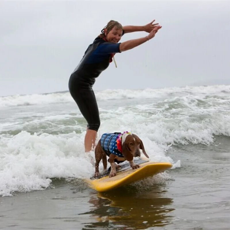 2118297171_1312024799