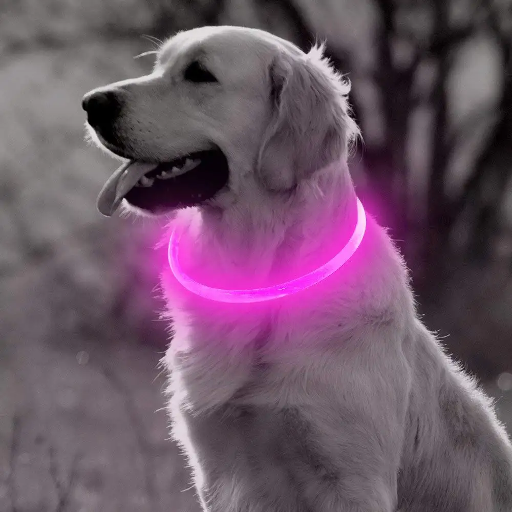 Светодиодный светильник-ошейник для собак, заряжаемый от USB, светящиеся ошейники для собак, светящиеся ошейники для домашних животных с ночной зарядкой, ошейники для маленьких, средних и больших собак - Цвет: Розовый