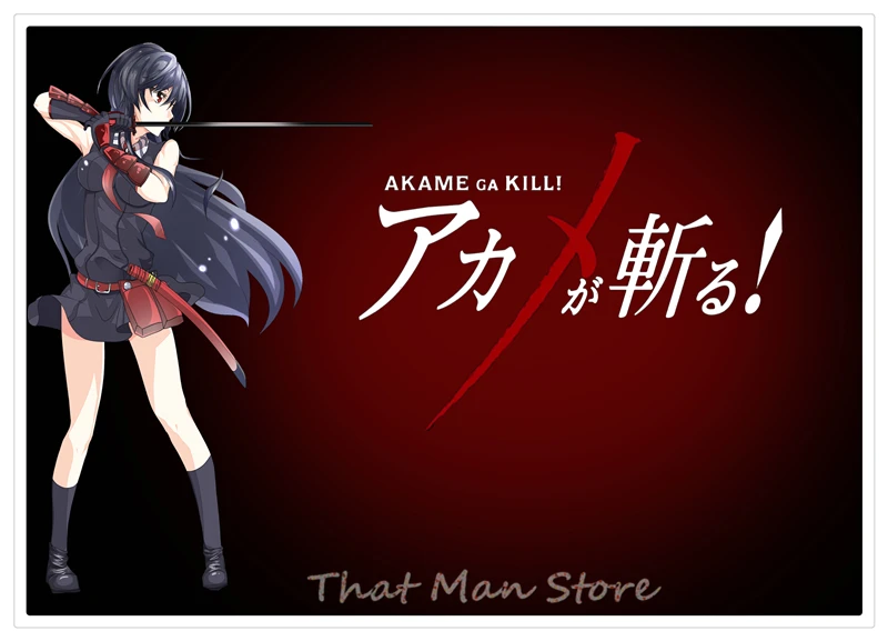 Akame ga KILL! Плакат с прозрачным изображением настенные наклейки украшение для дома