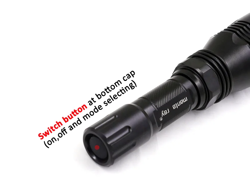 Manta Ray 802 (9)