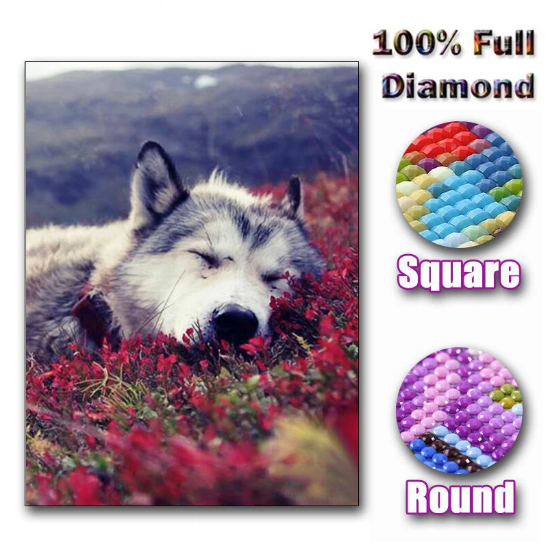 

Full Square/Round Drill 5D DIY Diamond Painting "Flower sleeping wolf" Embroidery Cross Stitch 5D Home Decor Gift art Gift