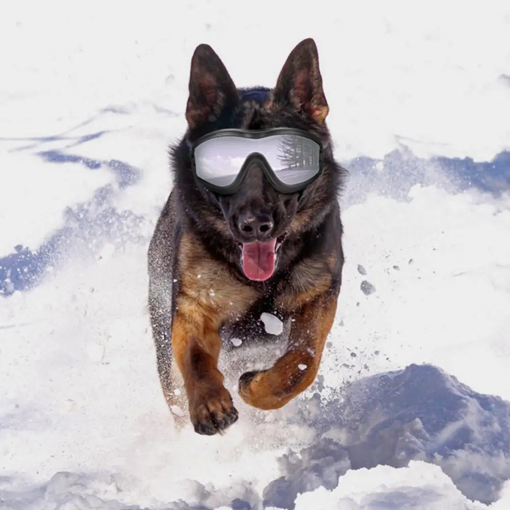 LanLan Pet очки для собак водонепроницаемые ультрафиолетовые защитные очки Защита для глаз аксессуары для домашних животных