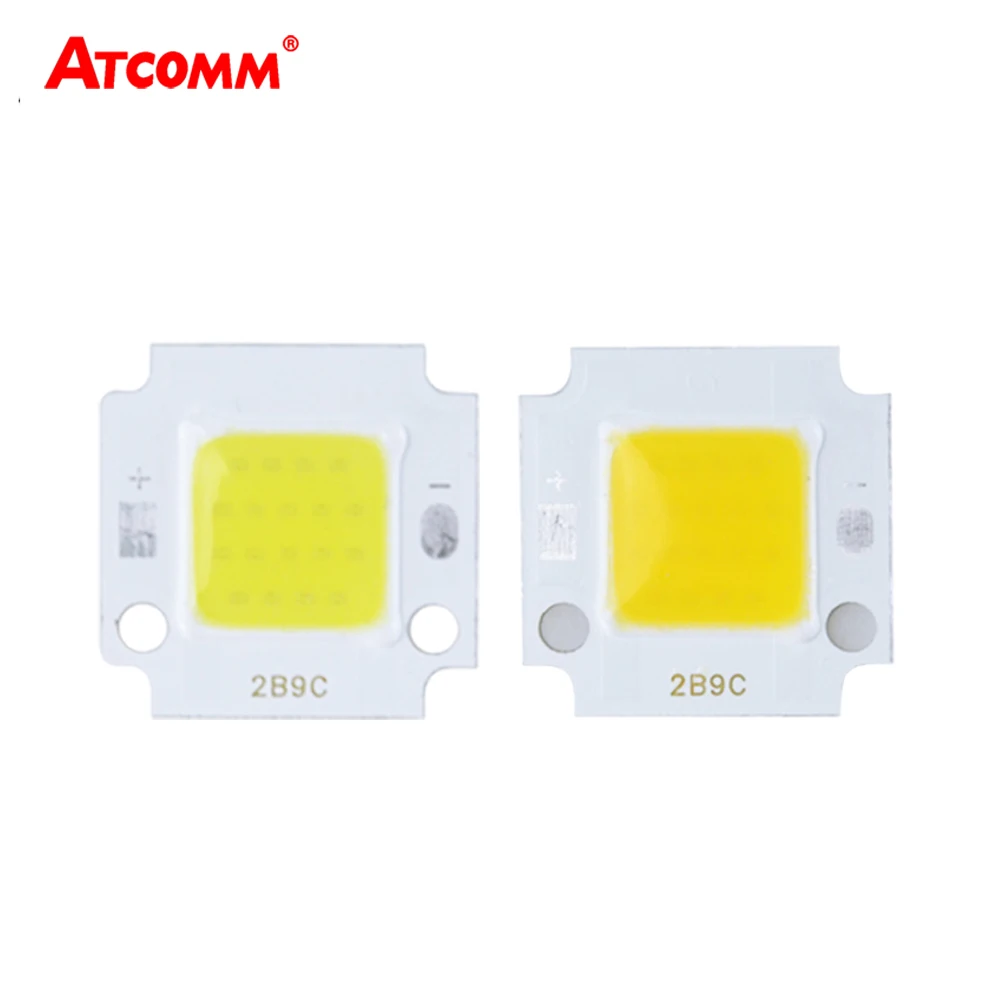 

COB LED Lamp 10W 20W 30W 50W 70W 100W 30V 220V LED Matrix Diode Array DIY Spotlight Floodlight Outdoor Lighting 10pcs/Lot