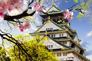 

Home decoration japanese castle japan beautiful tree flowers sakura oriental cherry Silk Fabric Poster Print 244FJ