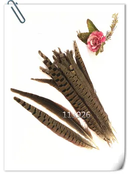 

100pcs Male pheasant feathers 20-25CM Natural Ringneck Pheasant Feather pheasant plumes DIY feathers headdress crafts accessory