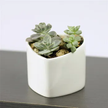 

Mini White Ceramic Creative Oblique Heart-shaped Desktop Succulent Plants Flower Pot Zakka Pot Factory Direct Wholesale