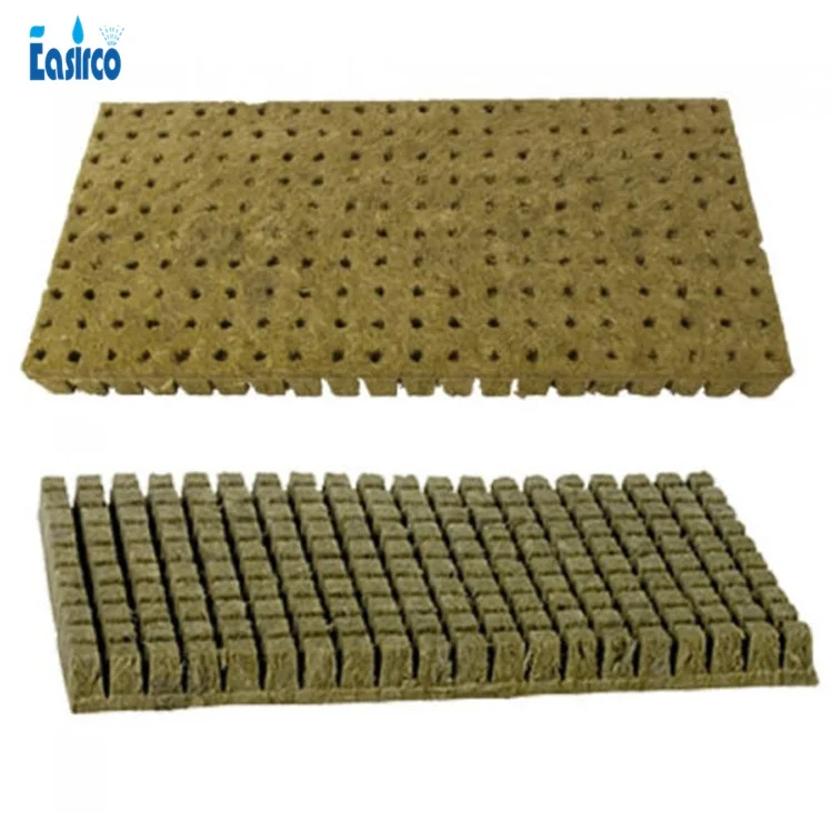 Plateau de bouturage 25x25x40mm 150 cubes