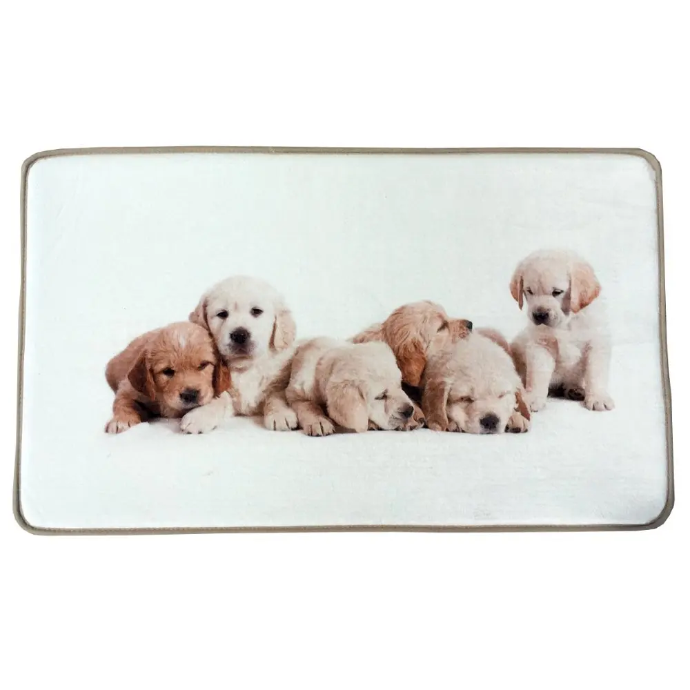 45x72cm Cute Pup Dogs Print Custom Carpet Non slip Rugs Pad Living Room