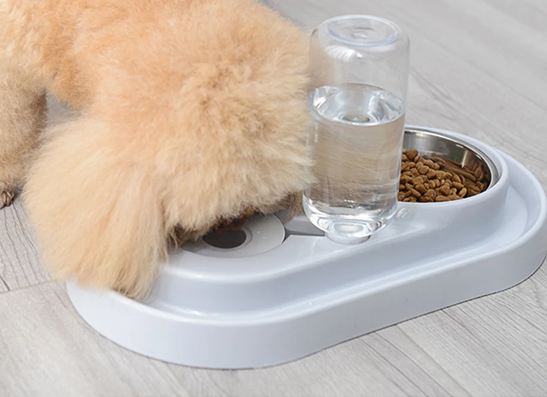 Distributeur de croquettes et eau pour chat et chien