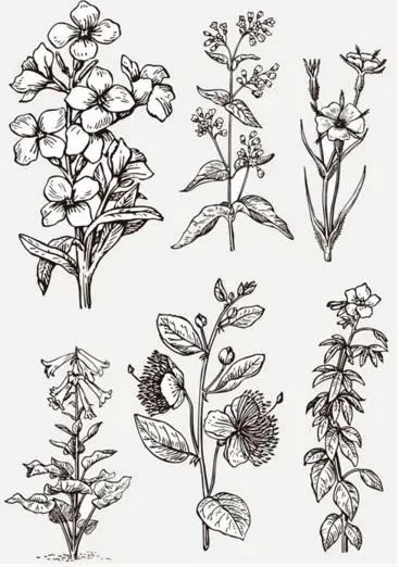 

plants Clear Stamp Or stamp for DIY Scrapbooking/Card Making/Kids Fun Decoration Supplies A336