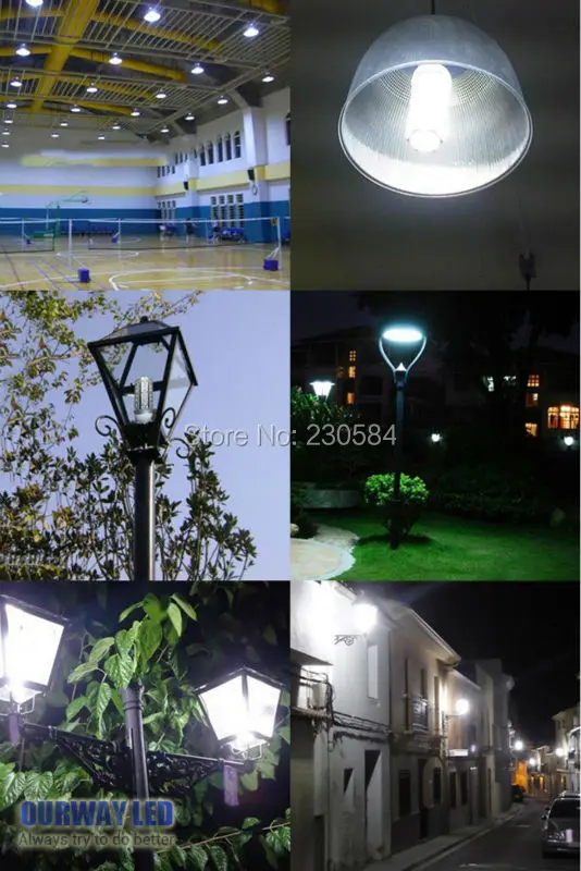 application for corn bulb--