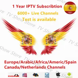 IP ТВ подписка 7000 Каналы Швеции IP ТВ Германия Великобритания Нидерланды США Канада Французский IP ТВ Латинской 12 месяцев для M3U Mag смарт-ТВ