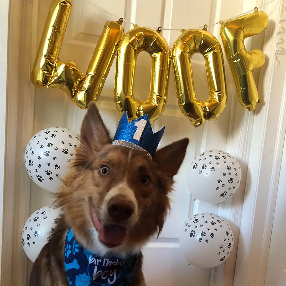 10 шт. 12 дюймов собака с днем рождения латексный воздушный шар золото 16 дюймов wof фольга Balony собака день рождения поставки воздушные шары для украшения