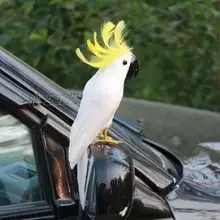 Моделирование животных около 30 см перья попугай птица модель игрушки, полиэтилен и меха смолы ремесло, подарок украшения, d437