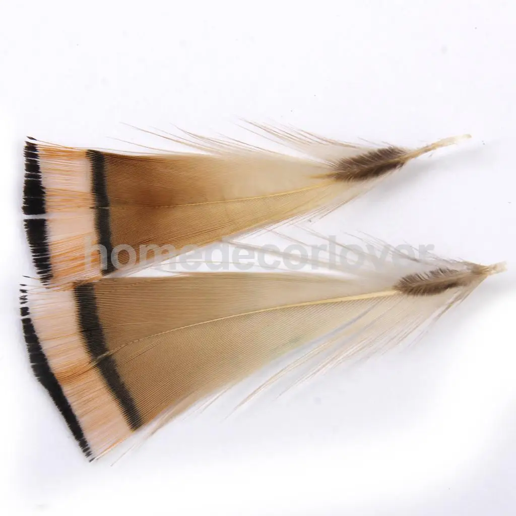 

50pcs Natural Pheasant Feathers 6-8cm for Jewelry Craft Fly Tying Millinery