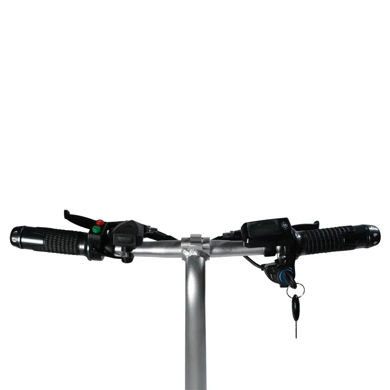 Австралийский Стандартный Max Скорость 20 км/час 36V 250W электрический велосипед с сертификатом CE