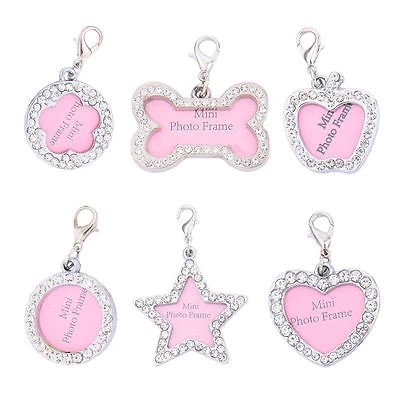 hills prescription cd