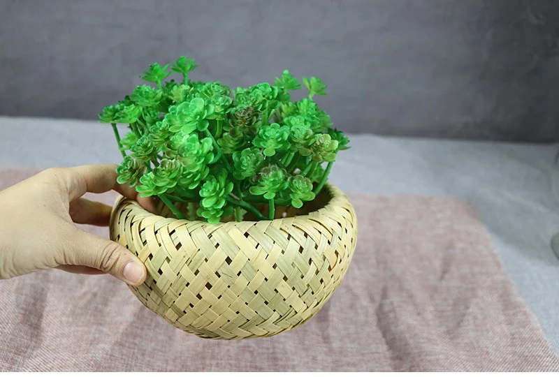 120 шт. Echeveria Hookerii искусственное суккулентное растение пластиковые цветочные украшения зеленый Растительный фон