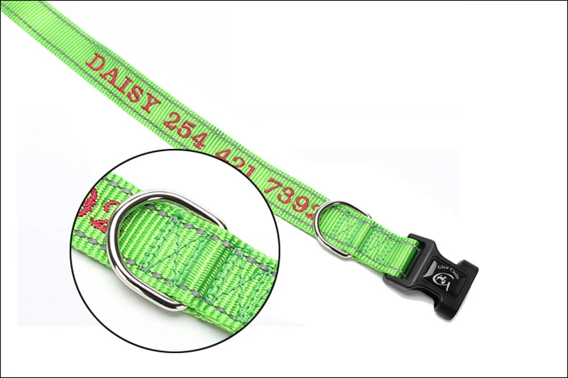custom dog collar (2)