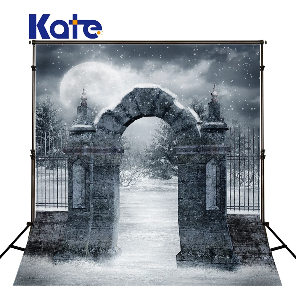 Kate Black And White Backgrounds For Photo Studio Old Door