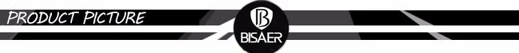 BISAER 2