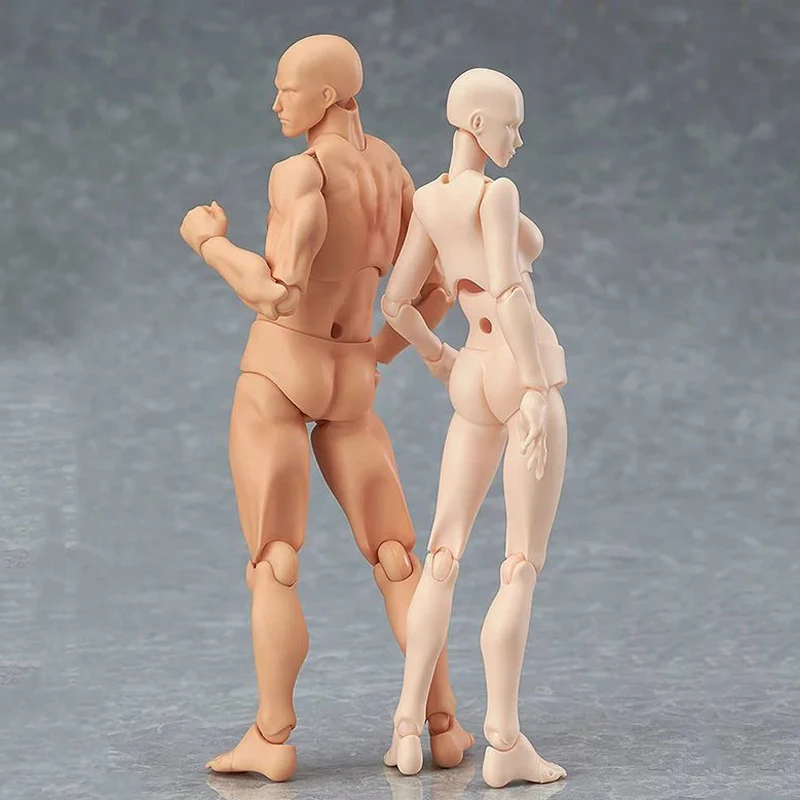 

2019 Anime Archetype He She Ferrite Figma Movable BODY KUN BODY CHAN PVC Action Figure Model Toys Doll for Collectible drop