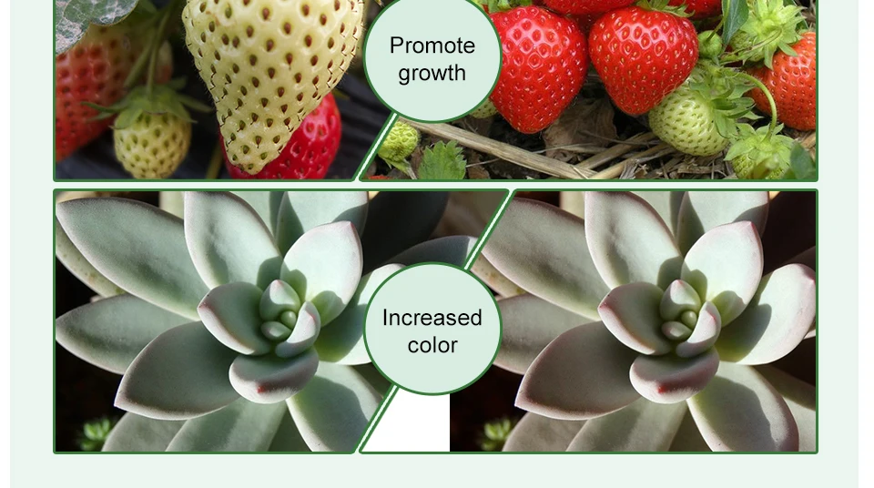 led grow light cob chip (5)