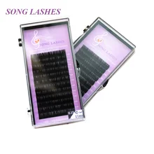 SONG LASHES False Eyelash Extensions Soft Thin Tip Flat Roots D 0.15 thickness SONG LASHES False Eyelash Extensions Soft Thin Tip Flat Roots D 0.15 thickness