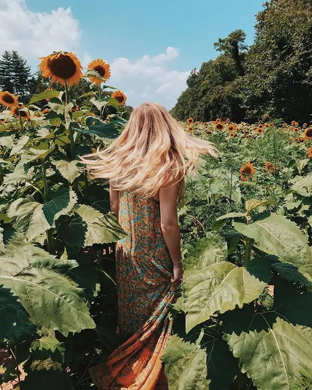 37762134_479385389200922_5382511452672229376_n